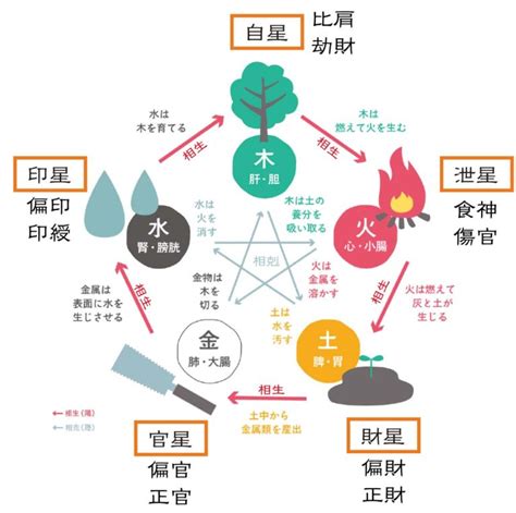 偏財上門|四柱推命【偏財】の意味｜性格・適職・恋愛・運勢を 